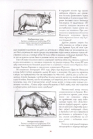 Царская охота с X по XVII век артикул 3070d.